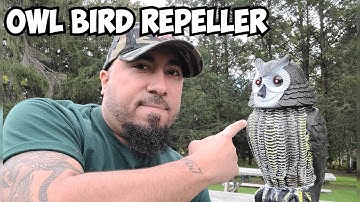 Owl Solar Bird Repellent Review