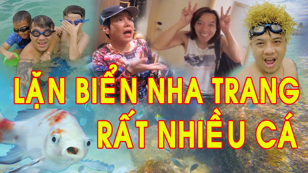 lan bien nha trang 2022 ATO VLOG | LẶN BIỂN NHA TRANG RẤT NHIỀU CÁ (TẬP 1) | Series Nha Trang - Đà Nẵng - Hội An