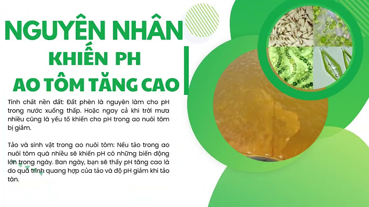 Mật độ tảo bao nhiêu là thích hợp trong ao năm 2024