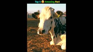 Top 5 amazing facts |  Random Fact  | Interesting facts #shorts