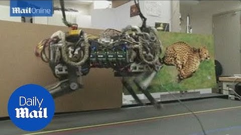 MIT researchers create jumping, running robot cheetah - Daily Mail