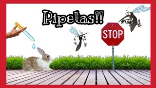 PIPETAS para conejos!❌Cómo DESPARASITAR a los CONEJOS‼ [Desparasitación externa conejos]