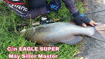 Câu Cá Chẽm Lure Cá Chẽm . Cần EAGLE SUPER Máy Siller Master Có Tiếng Dragclick / Đồ Câu Đại Ngáo