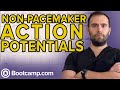 Cardiac Action Potentials Quiz