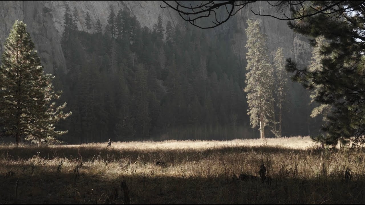 Yosemite Short Film // 4k 24fps With Color Grading YouTube