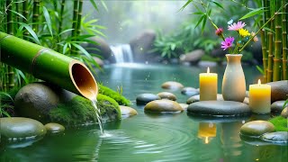 Zen Spa Relaxation 🧘 Chill Music with Birdsong and Forest Energy