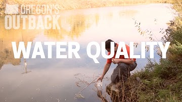 What is good water quality for beef cattle?