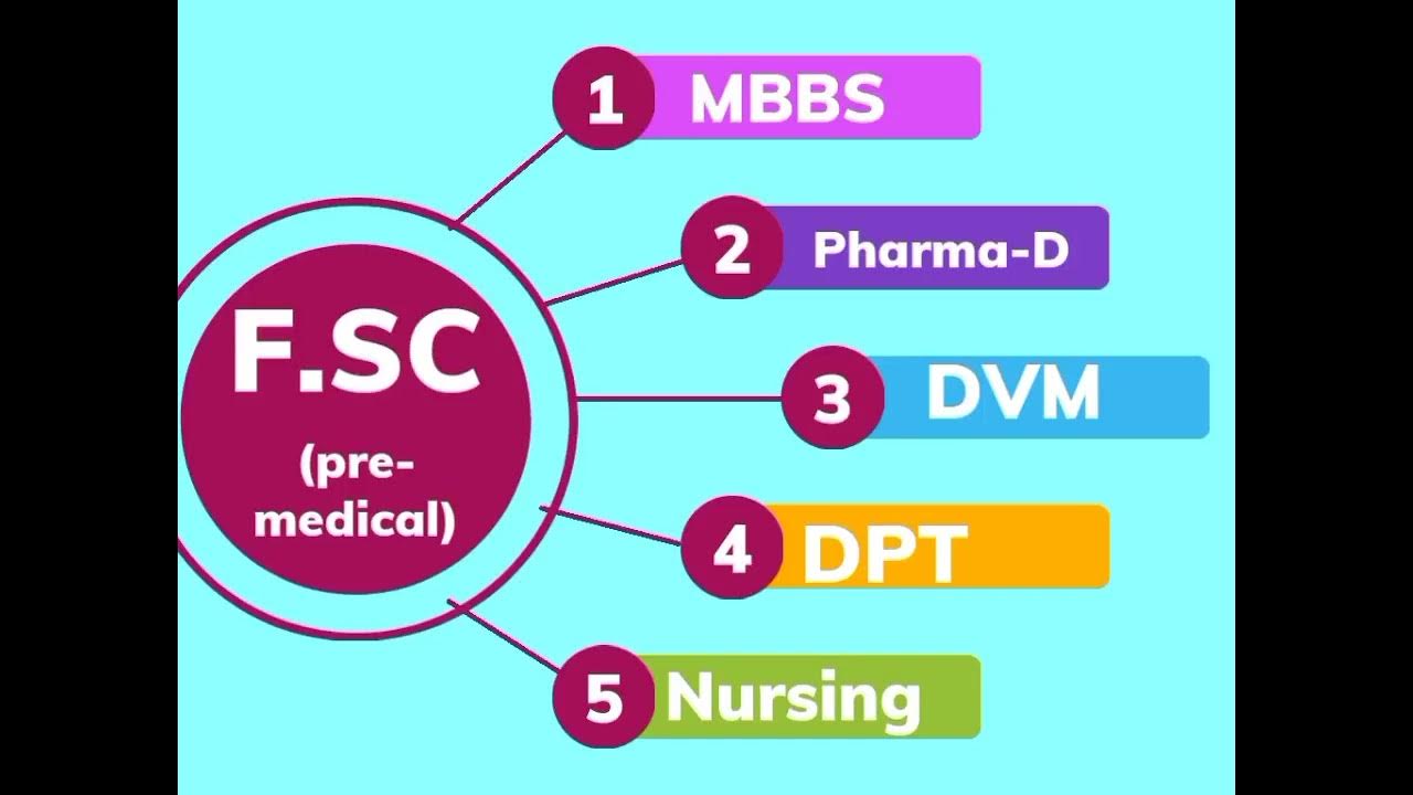 Best Fields After FSC Pre Medical In Pakistan after FSC What We Can Do best-fields-after-fsc-pre-medical-in-pakistan-after-fsc-what-we-can-do