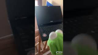 Kermit Was Dead