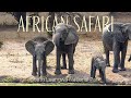 African Safari in Zambia, Ep. 2: Bilimungwe Wildlife