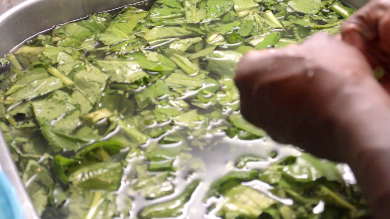 How To MAKE Mix Greens Recipe YouTube