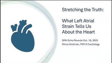 Stretching the Truth: What Left Atrial Strain Tells Us About the Heart