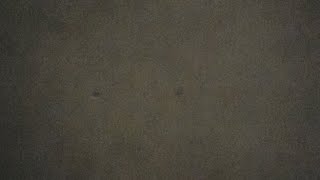 Download lagu Tempek