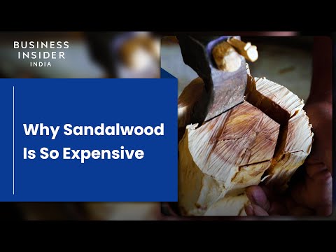 Video: Hoe wordt sandelhoutolie gemaakt?