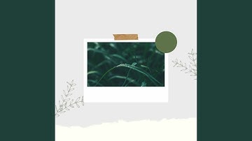 Spacious Backdrops for Rejuvenation