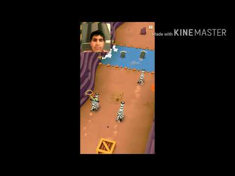 قيم شارخ يلعب حديقه حيوان عانية