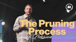 The Pruning Process | Jacob Peterson