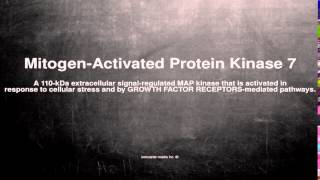 Medical vocabulary: What does Mitogen-Activated Protein Kinase 7 mean