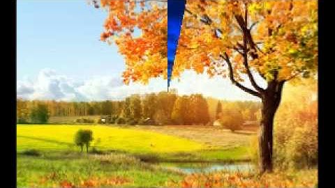 سورة المزمل بصوت نعمة الحسان