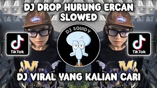 DROP HURUNG ERCAN SLOWED | DJ DROP HURUNG ERCAN SLOWED TIKTOK VERSION VIRAL TERBARU 2024!