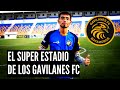 Gavilanes FC : El equipo de tercera con estadio de PRIMERA