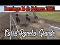 Carreras de Caballos en Madera, CA 16 de Febrero 2020