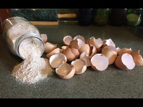 Video: What Are The Benefits Of Eggshell