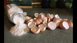 Health Benefits of Egg Shells