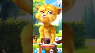 My Talking Cat Tommy 8K | My Interlocutor Is A Cat #mgames #mobilegame #tommy screenshot 4