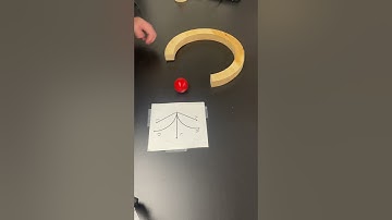 Centripetal or Centrifugal Force Demo? #physics