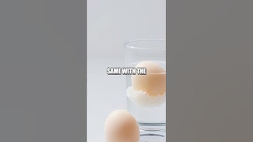 The Floating Egg Experiment