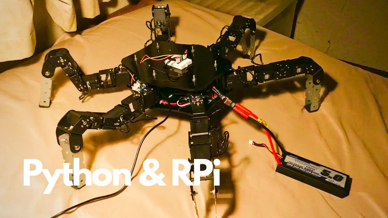 Spider Robot Motions coded with Python: HEXAPOD ROBOT - YouTube
