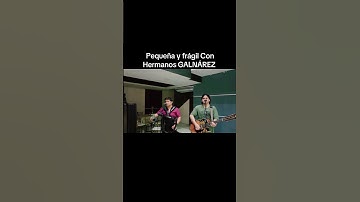 Thumbnail of Hnos Galnarez // Pequeña y frágil