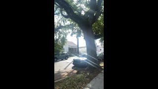 Large police presence reported in Central City