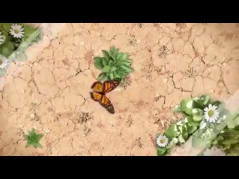 აფორიზმობანა