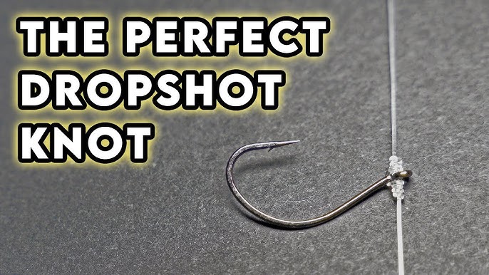 How To Double Drop Shot for MONSTER Trout! Tutorial and Trout Fishing  Action! 