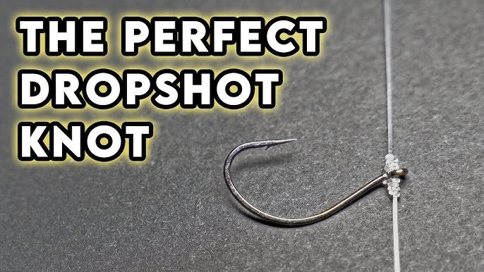 How To Double Drop Shot for MONSTER Trout! Tutorial and Trout