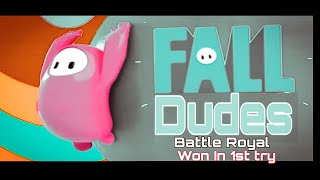 Fall Dudes Battle Royale | Won in 1st try | Android *Not PC* | With download Link | In Hindi. screenshot 3