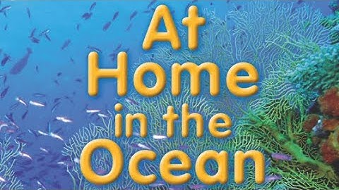 AT HOME IN THE OCEAN Journeys AR Read Aloud First Grade Lesson 11