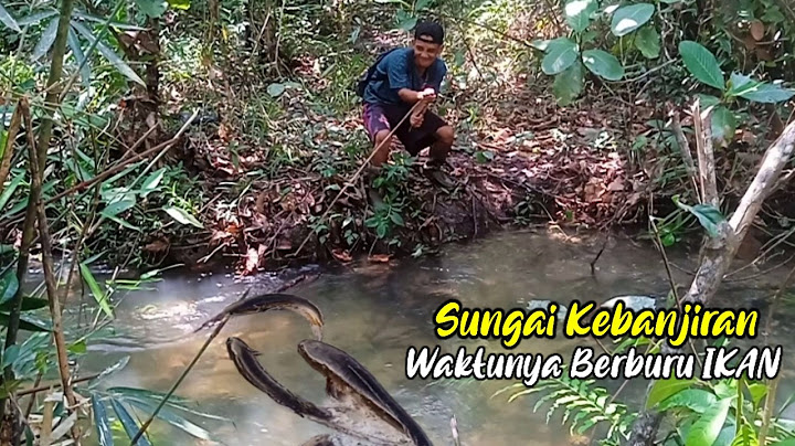 7 Hari Berburu Ikan Di Sungai Yang Kebanjiran & Mencari MAKANAN di Hutan 😂 | Murphy S