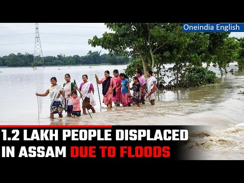 Assam Floods: 1.2 lakh people displaced, 20 districts affected | Oneindia News