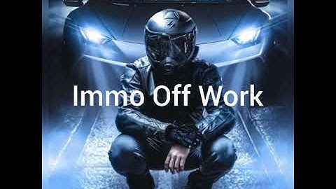 Land Rover Freelander & Range Rover TD4 Immo Off