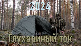 Глухариный ток с подслухом | 2223 апреля 2024 | Первая ночёвка на токовище