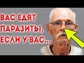 Как узнать, что в теле паразиты и противопаразитарная СУПЕР ЕДА!