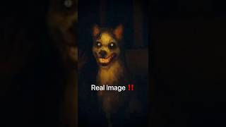 The laughing dog 😱 #shorts #shortvideo #ytshorts #daybyharis #subscribe screenshot 5