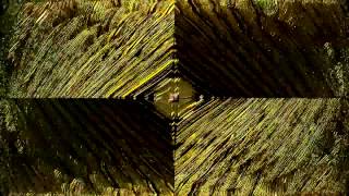 Didrapest - Celebration (Sychovibes vs Dj Yann Rmx)