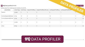 Best Data Profiler Tool [Demo/Tutorial] (Supports JSON, CSV, and other formats) (HQ Data Profiler)