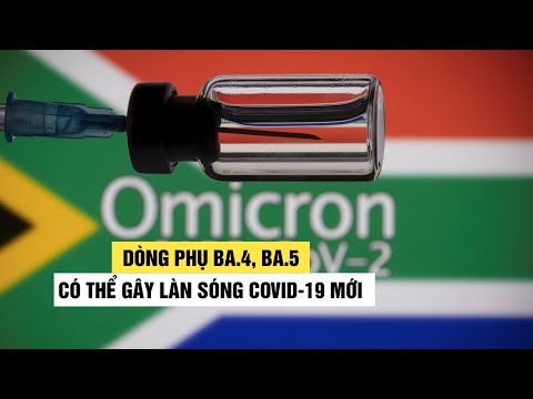 Dòng phụ của Omicron có thể thoát miễn dịch, nguy cơ gây làn sóng Covid-19 mới