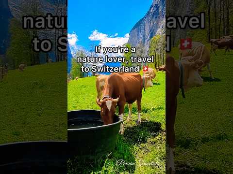 Where to Travel