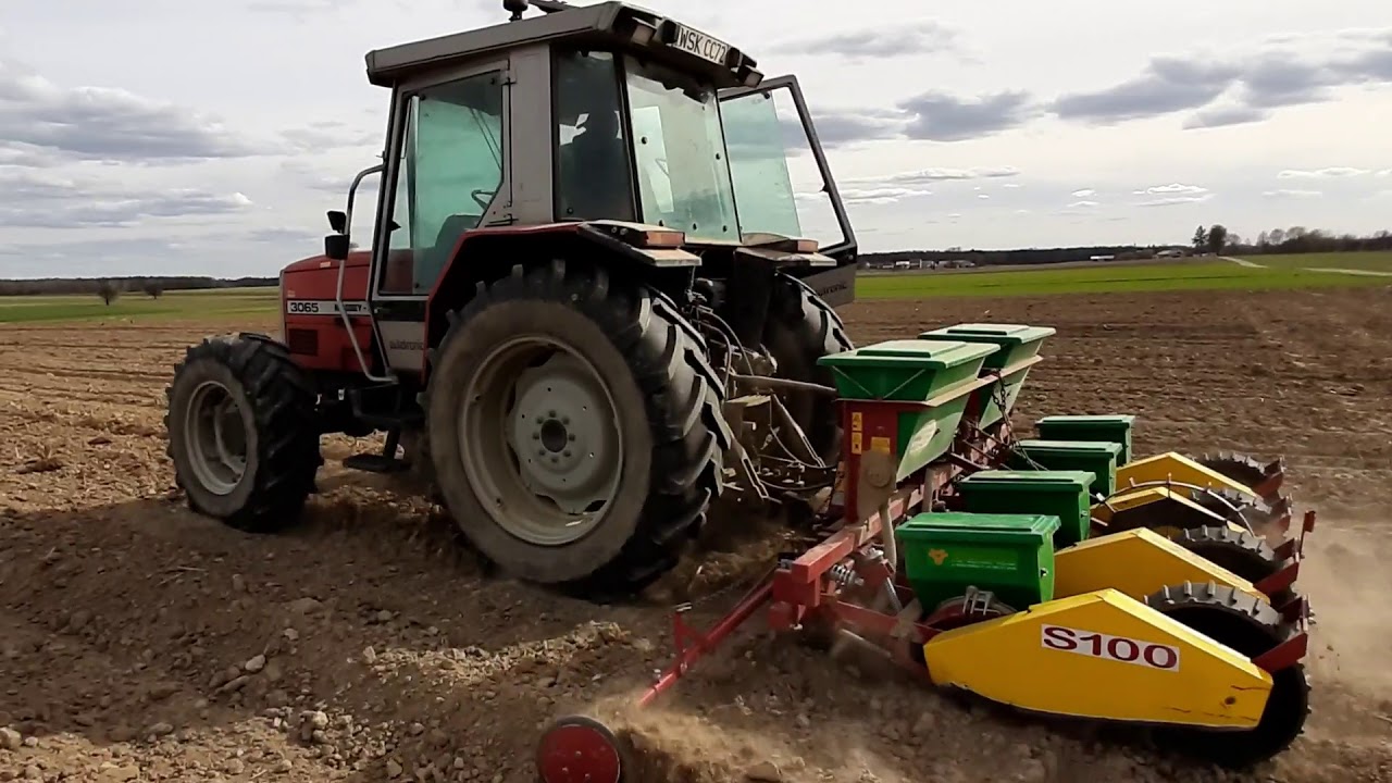Siew kukurydzy 2020/ Massey-Ferguson 3065 & Meprozet s100